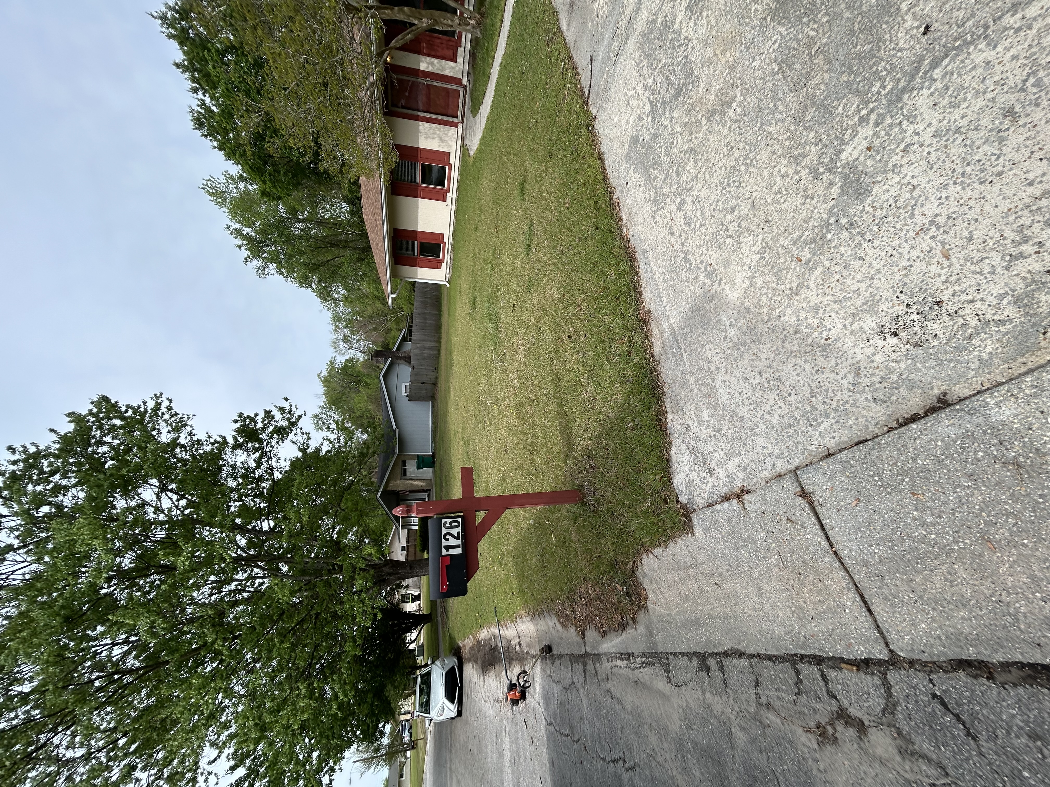 Before — overgrown yard