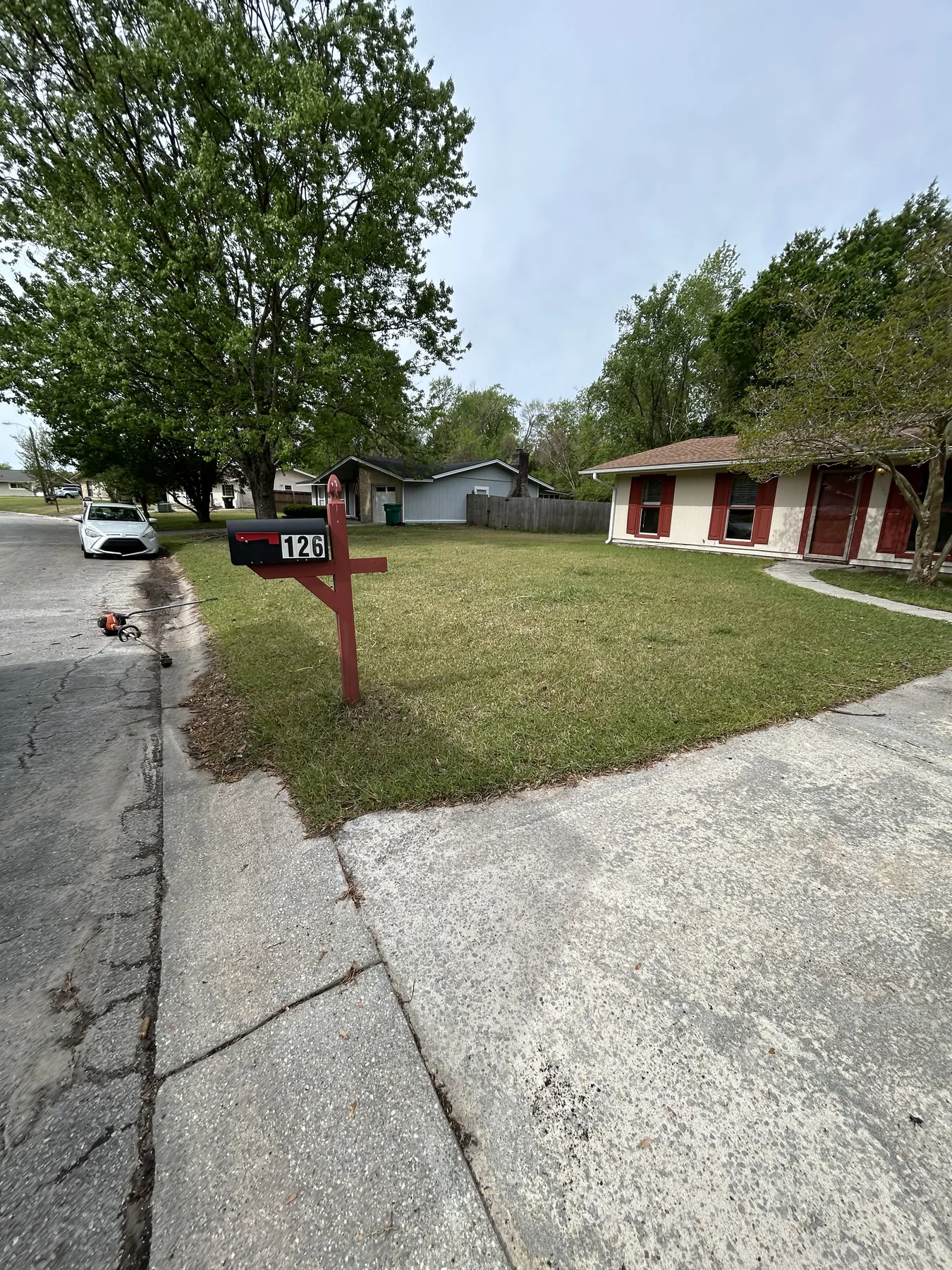 Before — overgrown yard