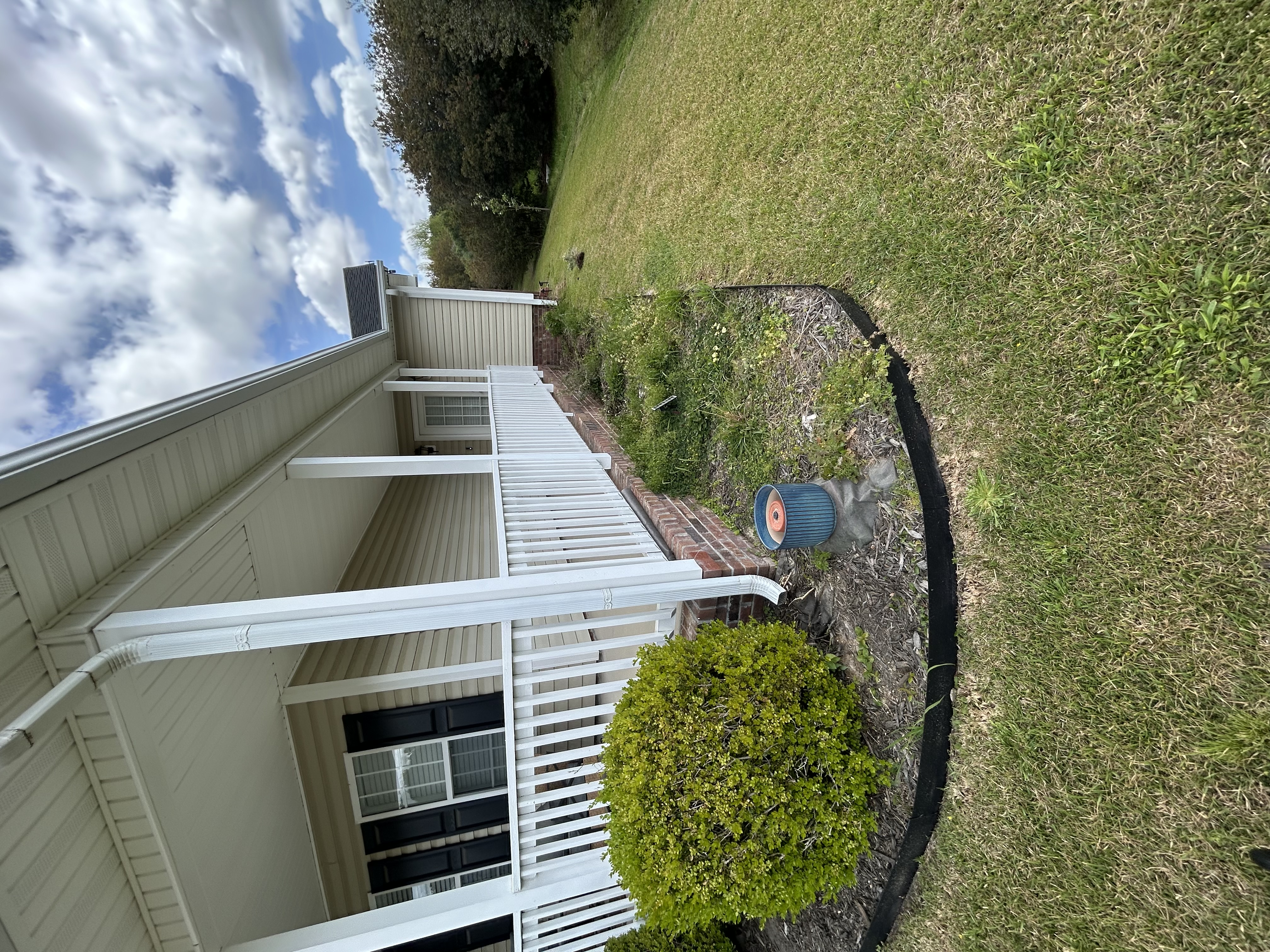 Before — overgrown yard