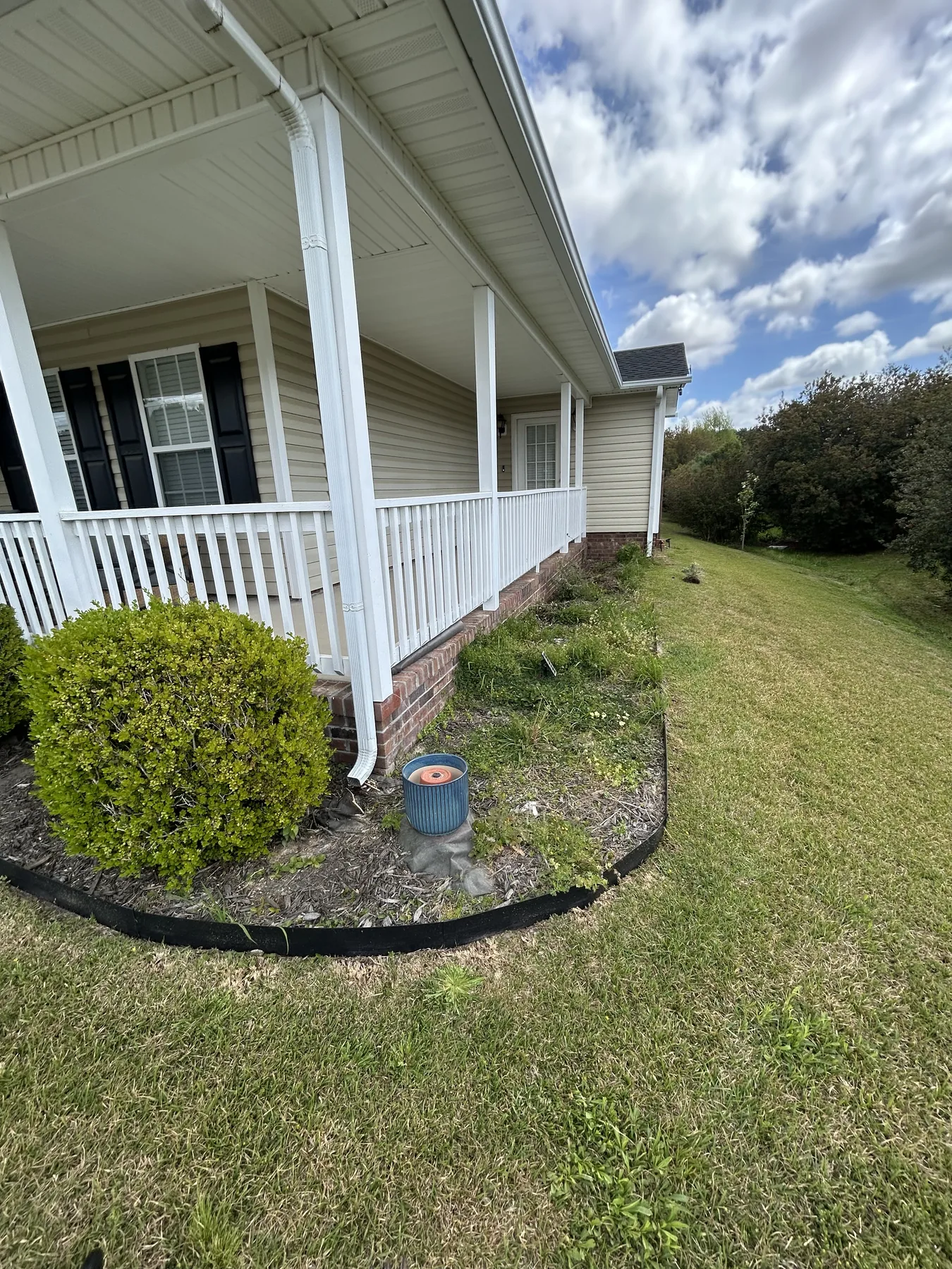 Before — overgrown yard