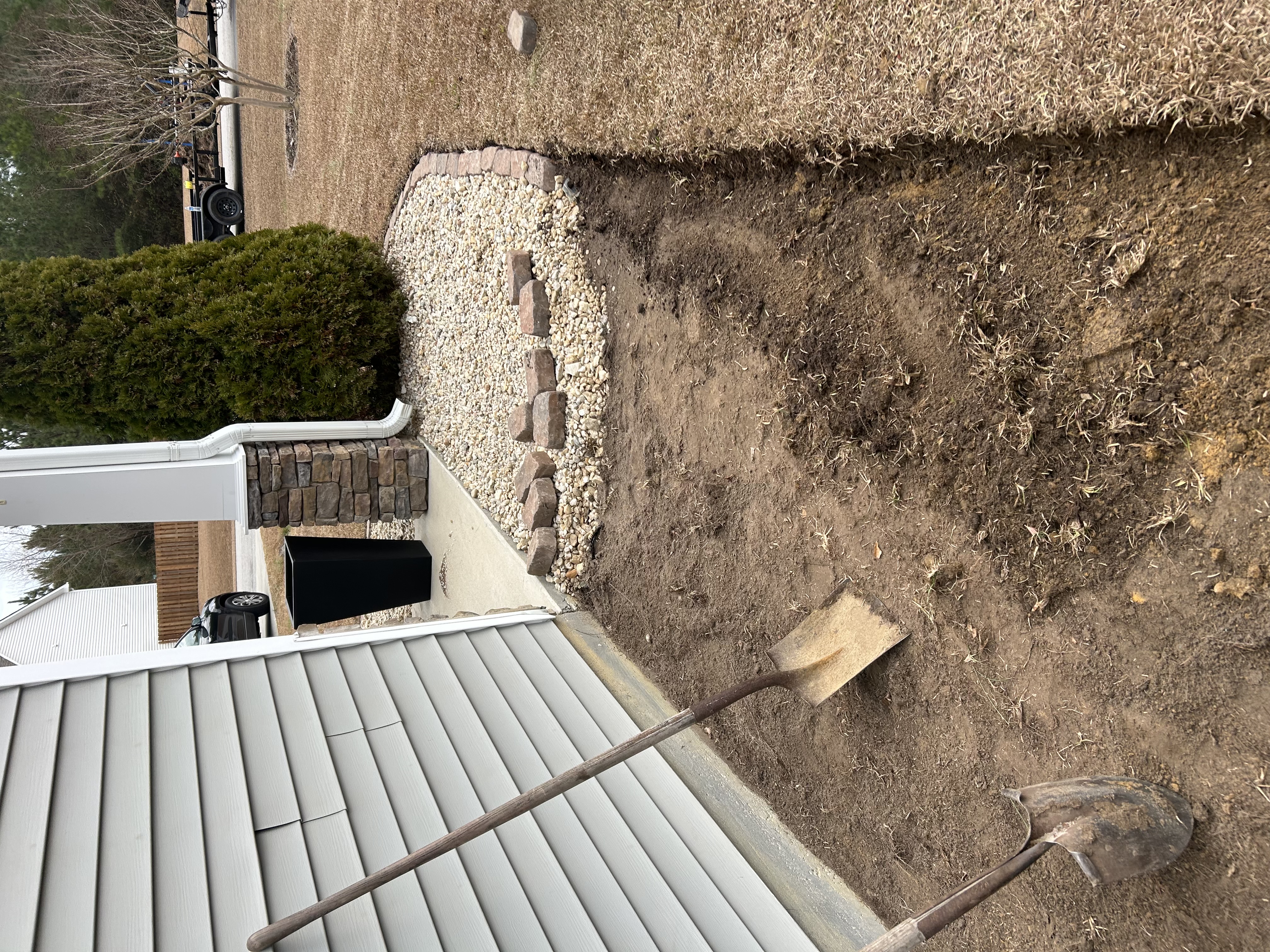 Before — overgrown yard