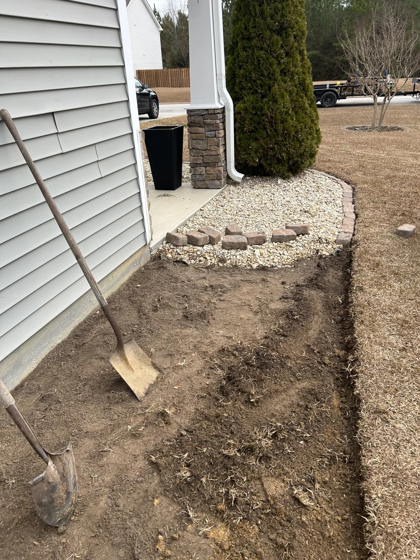 Before — overgrown yard
